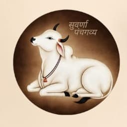 Suvarna Panchgavya